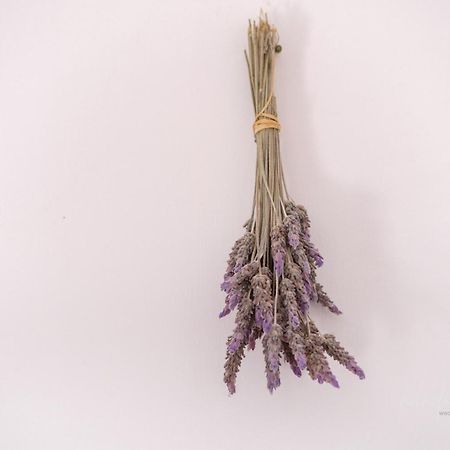 Rooms Masseria Giangrande 폴리나노 아마레 외부 사진