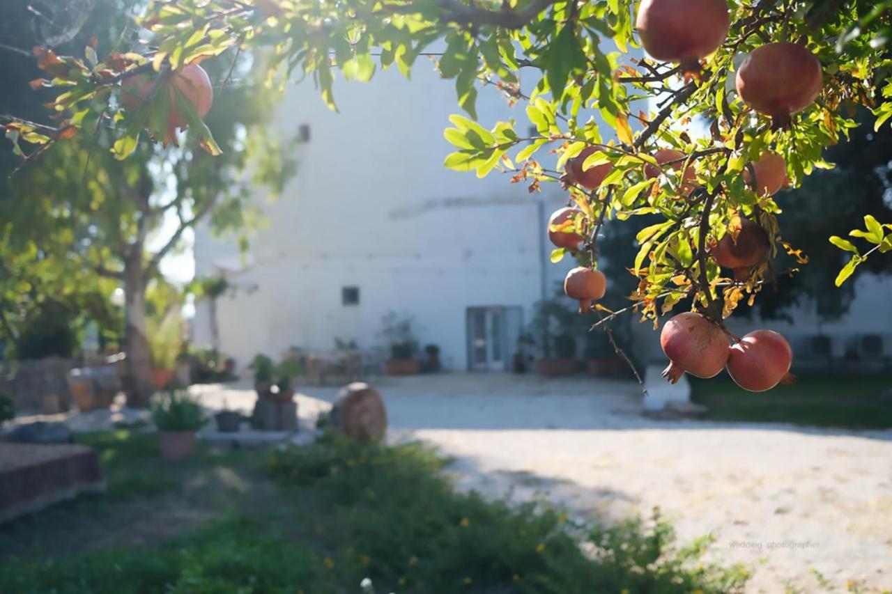Rooms Masseria Giangrande 폴리나노 아마레 외부 사진